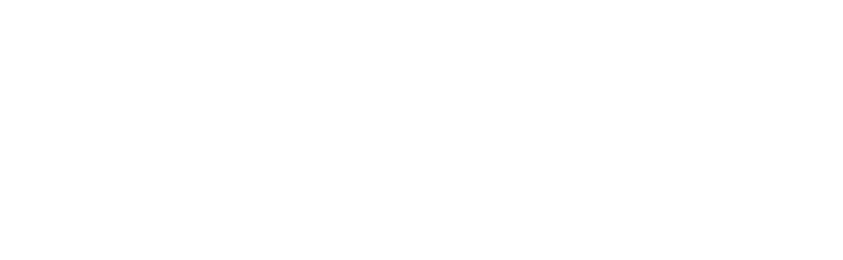 Karys.lt